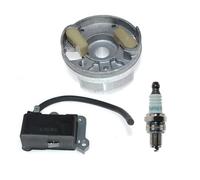 Volant d'inertie de Bobine d'allumage Compatible avec EBZ6500 EBZ6500RH EBZ7500 EBZ7500RH EBZ8500 EBZ8500RH