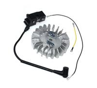 Volant Moteur à Bobine d'allumage Compatible avec CS2141S, CS2145, CS2145S, CS2147, CS2150, CS2152, CS2153, CS2156, CS2159, CS2163, CS2165, CS2166 et CS2171