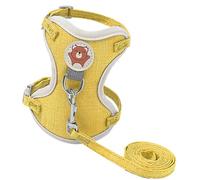 Volent De Gilet De Chaton, Épidémie De Laisse Des Plats Pour Chats - Ensemble À Feuilles | Corde De Sangle De Poitrine De Chien, À La Mode, Respirante Et Réglable Extérieure, Gilet, Plats Pour Chiots,