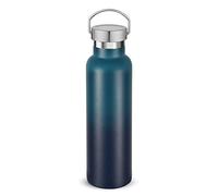 Volhoply 600ml Bouteilles D'eau en Acier Inoxydable Avec Poignée, Bouteille Isotherme à Double Paroi Avec Couvercle Anti-Fuite, Tasse Réutilisable en Métal Pour L'école, Randonneurs, Cadeaux