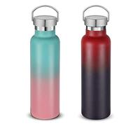 Volhoply 600ml Gourde Inox avec Poignée 2 paquets, Bouteille Isotherme à Double Paroi Avec Couvercle Anti-Fuite, Tasse Réutilisable en Métal Pour L'école,Randonneurs,Cadeaux(Assortiment,2 Set)