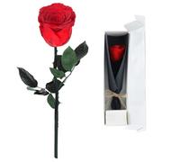 Volhuluk Rose éternelle stabilisée, rouge rose naturel conservé, fleur royale avec tige, rose stabilisée véritable pour la Saint-Valentin, anniversaire, fête des mères, anniversaire, mariage