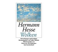 Volker Michels Hermann Hesse Pieter Wolken: Betrachtungen und Gedichte ( (Poche)