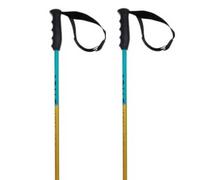 Volkl Bâtons Junior Phantastick