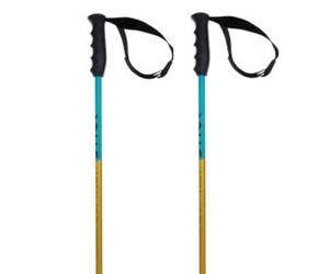 Volkl Bâtons Junior Phantastick