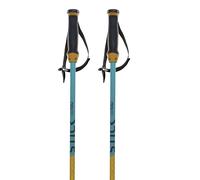 Batons De Ski Volkl Phantastick 16mm Yellow Jaune Homme Jaune 2027 taille 135