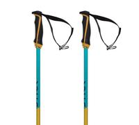 Volkl Bâtons Phantastick 18mm