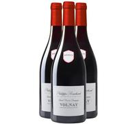 Volnay - Rouge 2022 - Philippe Bouchard - Vin Rouge de Bourgogne (3x75cl)