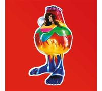 Björk – Volta – Vinyle 12" – The Orchard
