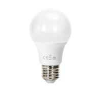 VoltShine Ampoule LED A60 E27 de 6 W, 3000 K, idéale pour créer des ambiances chaudes. Économisez de l'énergie et profitez d'un éclairage lumineux et durable dans n'importe quel espace de votre