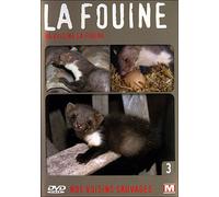 Volume 3 - La Fouine, ma voisine DVD