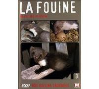 Volume 3 - La Fouine, ma voisine E