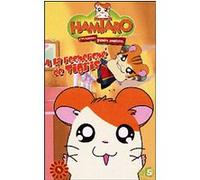 Volume 4 - A la recherche de Tigris G