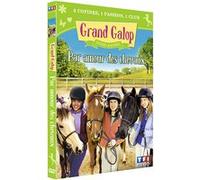 Volume 6 : Par amour des chevaux E