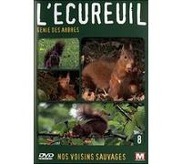 Volume 8 - L'Ecureuil, génie des arbres DVD
