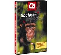 Volume 9 - Les Sociétés animales E