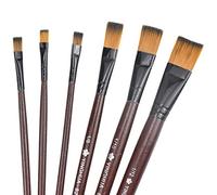 Volumoon 6 Pcs Pinceaux Kits, Pinceaux de Peinture à l'huile pour Aquarelle, Gouache Acrylique Peinture Brosse, Pinceaux pour Enfants, Amateurs de Peinture, Débutants, Artistes, Taille 2/4/6/8/10/12