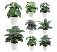 volumoon 6 Pièces Plantes Artificielles avec Pot, 26cm Plantes Artificielles Verdure Faux Plantes, Plastique Fausse Plante Interieur, Plante Artificielle Decoration Maison Salon Interieur Exterieur