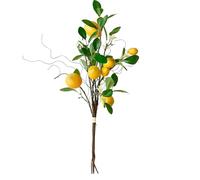 Volumoon Lot de 8 Plantes de Citrons de Faux, Bouquet de Têtes de Citrons Faux, Citron Artificiel Branche, Branche de Citron, Décoration Citronnier pour Cuisine, Vase, Table, Décoration de Jardin