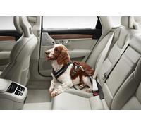 VOLVO harnais chien 15-30kg pour le canapé arrière