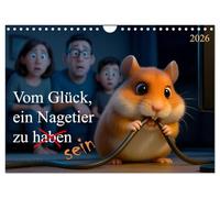 Vom Glück, ein Nagetier zu sein (Wandkalender 2026 DIN A4 quer), CALVENDO Monatskalender: Süß genug zum Dahinschmelzen - und chaotisch genug zum Verzweifeln. Das Leben mit Nagetieren.