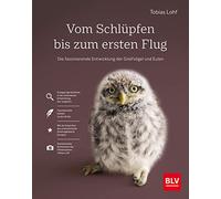 Vom Schlüpfen bis zum ersten Flug: Die faszinierende Entwicklung der Greifvögel und Eulen