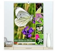Von Blüte zu Blüte - Weißlinge auf Sommer-Tour (hochwertiger Premium Wandkalender 2026 DIN A2 hoch), Kunstdruck in Hochglanz: Verschiedene Schmetterlinge der Familie der Weißlinge