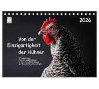 Von der Einzigartigkeit der Hühner 2026 (Tischkalender 2026 DIN A5 quer), CALVENDO Monatskalender: Künstlerische Hühnerportraits mit Text