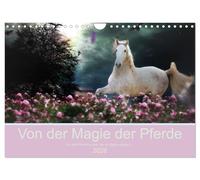 Von der Magie der Pferde (Wandkalender 2026 DIN A4 quer), CALVENDO Monatskalender: Fantastisch & märchenhaft ... Für alle, die Pferde lieben und an Magie glauben
