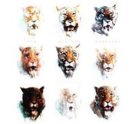 Von Hertzen Brothers - Nine Lives