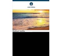 Von I.W.D. zu N.I.W.A.; Auswirkungen auf die Entwicklung von Lokoja 1956-2007