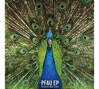Von Seiten der Gemeinde;Da Kessl - Pfau Ep