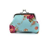 VONCYKI 1 porte-monnaie pour femme avec joli motif hibou imprimé moraillon, Co-sh-bag-0107-bl, Taille unique