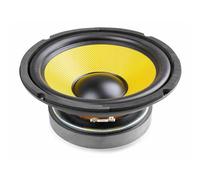Fenton WK20 - Haut-parleur, cône 8 pouces (20 cm), 500 Watts, 250 Watts RMS, HP boomer séparé, Basses fréquences, 8 Ohms