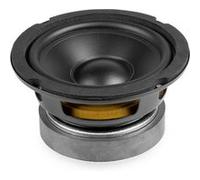VONYX WPP10 Woofer pour Enceinte, 10 cm, 8 Ohms, Puissance 100 Watts, Membrane Polypropylène, Suspension Caoutchouc, Idéal pour Réparer Un Haut-Parleur ou Construire Votre Propre Enceinte