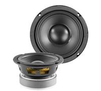 SkyTronic Haut-parleur de graves Fenton WPP13 – Cône 13 cm, 150 W max, suspension mousse