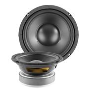 Vonyx WPP16 Haut-Parleur de Graves - Cône 6,5 Pouces (16cm), 175 Watts Max, 8 Ohms, Suspension Caoutchouc, Bobine Résistante à la Chaleur, Idéal pour Enceinte HiFi ou HP de Remplacement