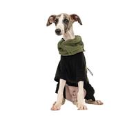 VOODUE Vêtements à Quatre Pattes for Chien de Compagnie, Gilet Polaire Chaud Coupe-Vent for lévrier Whippet Fin(Green1,S)