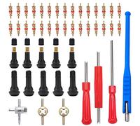 VooGenzek 47 Pièces TR413 Demonte Valve de Pneu Outil, avec Valve Souches Puller, Noyaux de Valve en Cuivre Pur, Extracteur de Noyau de à Unique et Double, TR413 Valve Enfichable, pour Voiture, Moto