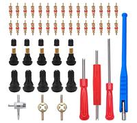 VooGenzek 47 Pièces TR414 Demonte Valve de Pneu Outil, avec Valve Souches Puller, Noyaux de Valve en Cuivre Pur, Extracteur de Noyau de à Unique et Double, TR414 Valve Enfichable, pour Voiture, Moto