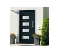 Voordeur 110x210 cm aluminium en PVC antraciet3056826