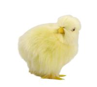 VOQGHTU Poussin jaune, peluche poussin doudou figurine poule en peluche de Pâques, décoration pour le printemps