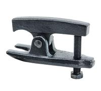 Vorel 80640 - Nœud du levantador du sommet du taillis