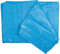 Vorel Tarpaulin Blue 90G 4 X 5M