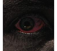 Voreus - Proclamation