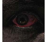 Voreus - The Proclamation [Cassette] [Import]