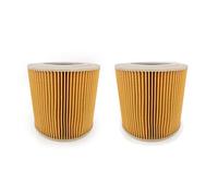 Vorfaove Lot de 2 filtres HEPA pour aspirateur A2004/A2204