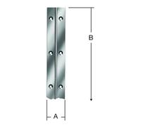 Vormann VORMANN Charnière à tige L 2040 mm, l 32 mm, inoxydable Quantité:1
