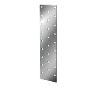 Vormann Vormann tôle perforée H200xB50xS2mm sendzimir galv. Quantité:50