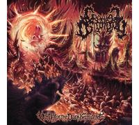 Vortex of the Dark Knowledge